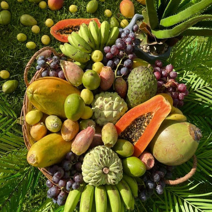 Alkaline Fruit Basket