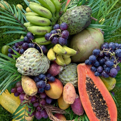 Alkaline Fruit Basket