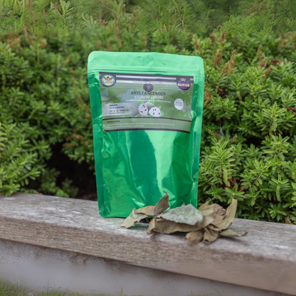 Soursop Herbal Tea