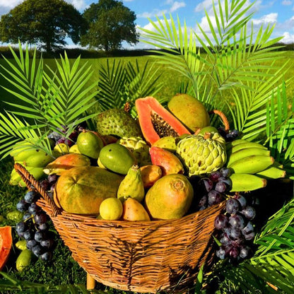 Alkaline Fruit Basket